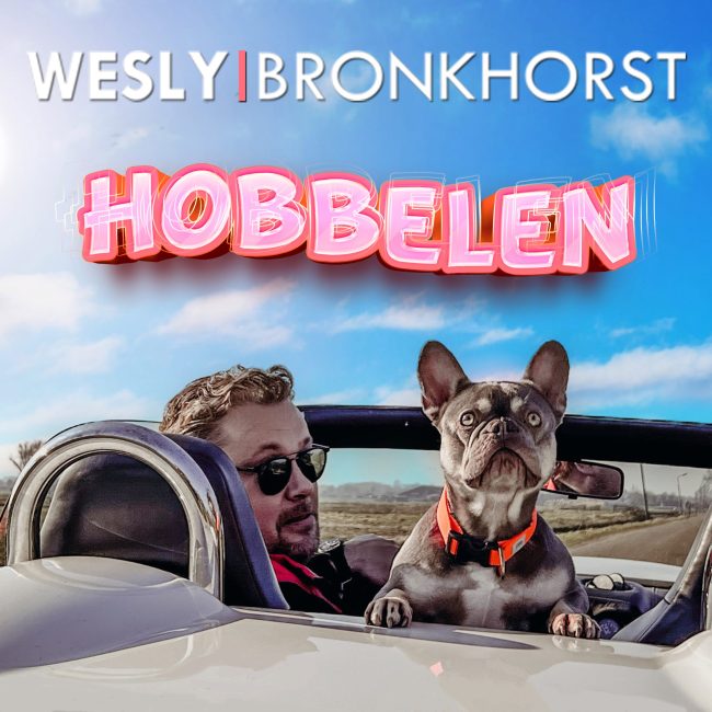 Wesly Bronkhorst – Hobbelen – Artwork